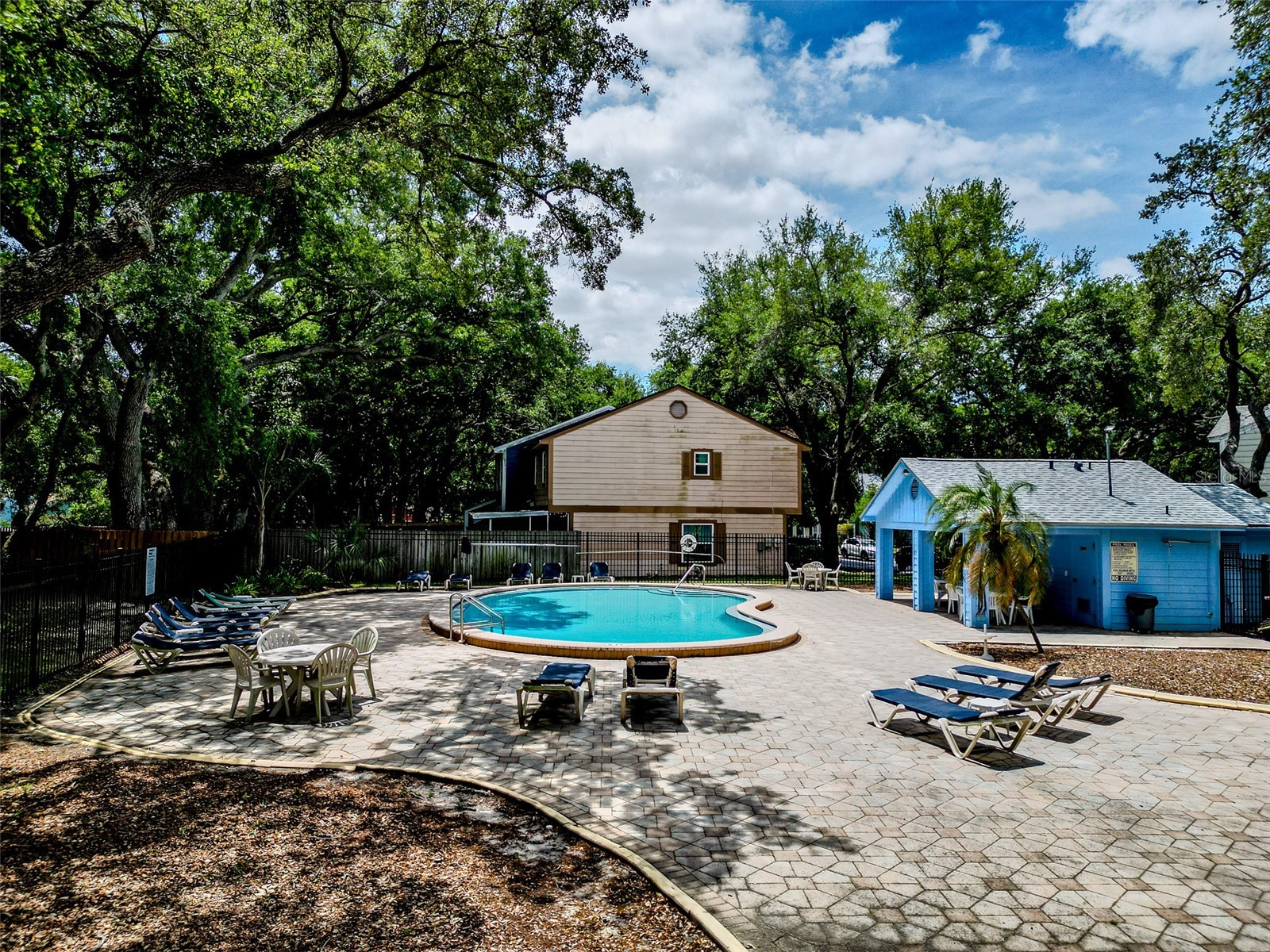 890 Jackson Court Palm Harbor FL 34683 TB8506497 image37