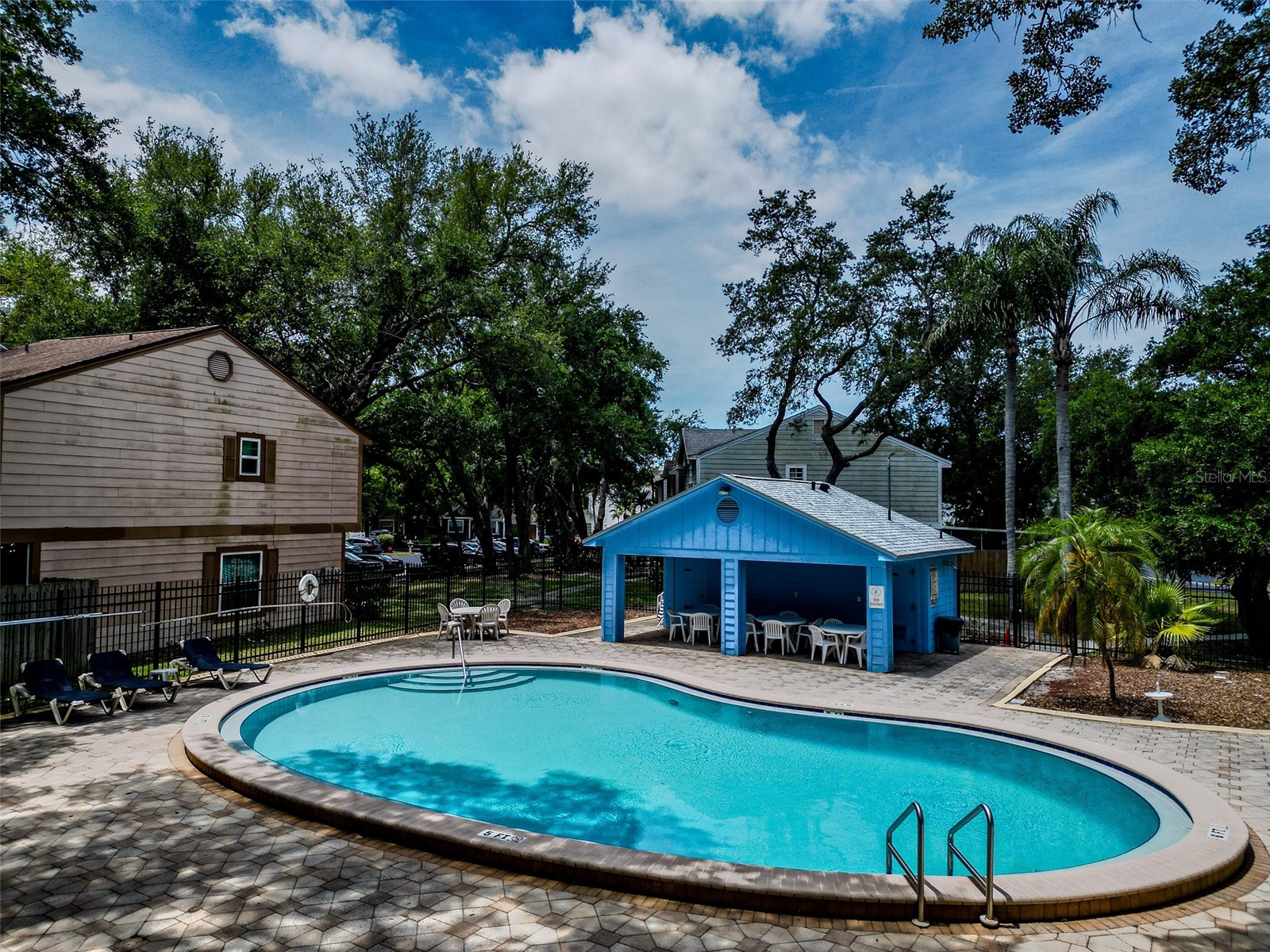 890 Jackson Court Palm Harbor FL 34683 TB8506497 image38