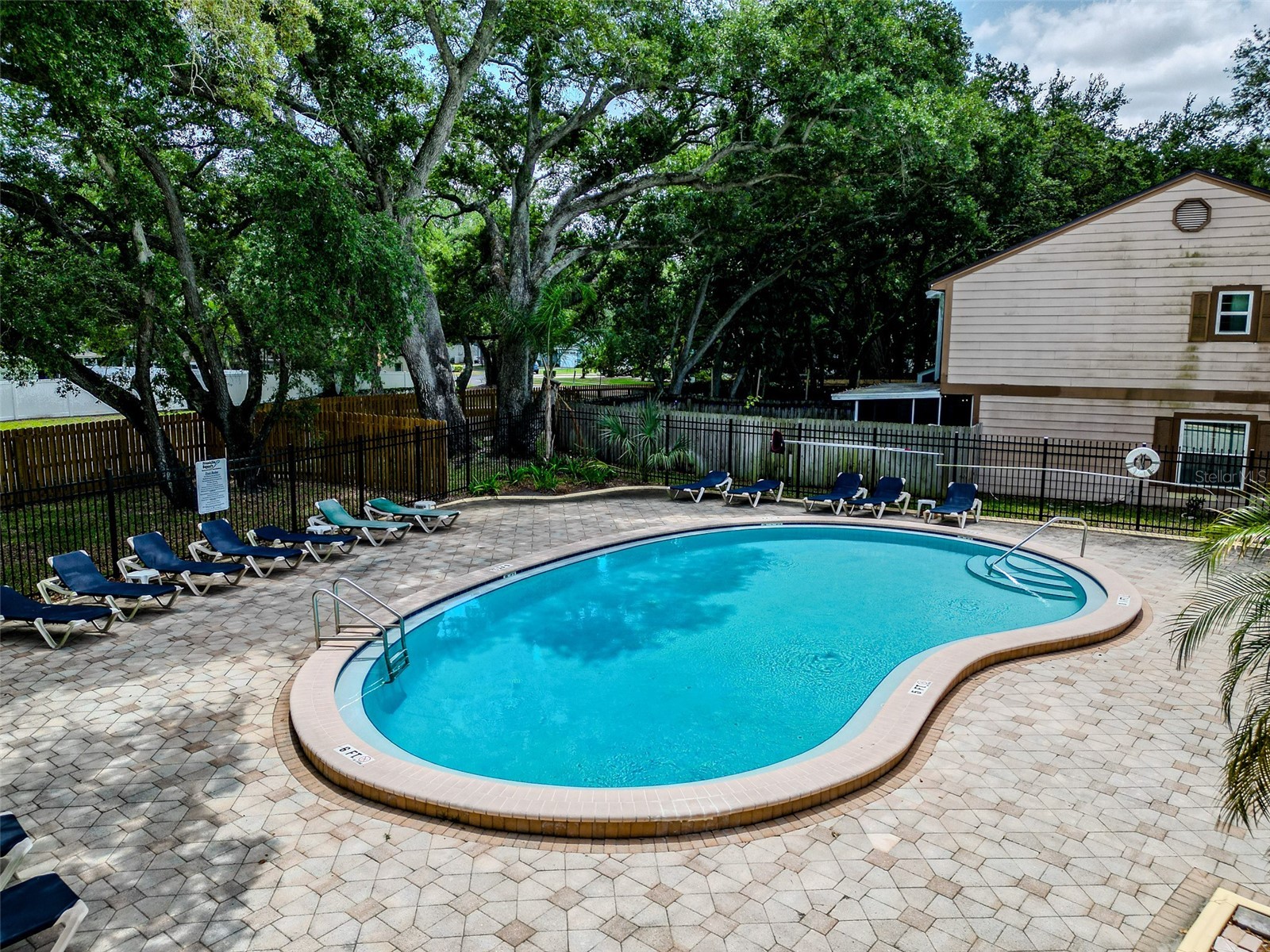 890 Jackson Court Palm Harbor FL 34683 TB8506497 image39