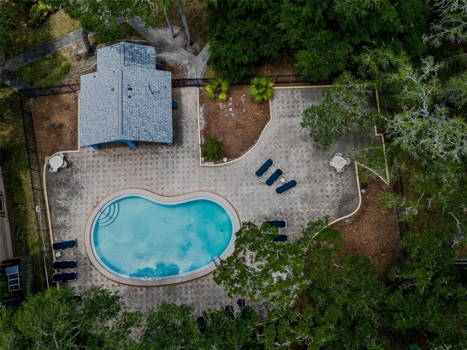 890 Jackson Court Palm Harbor FL 34683 TB8506497 image40