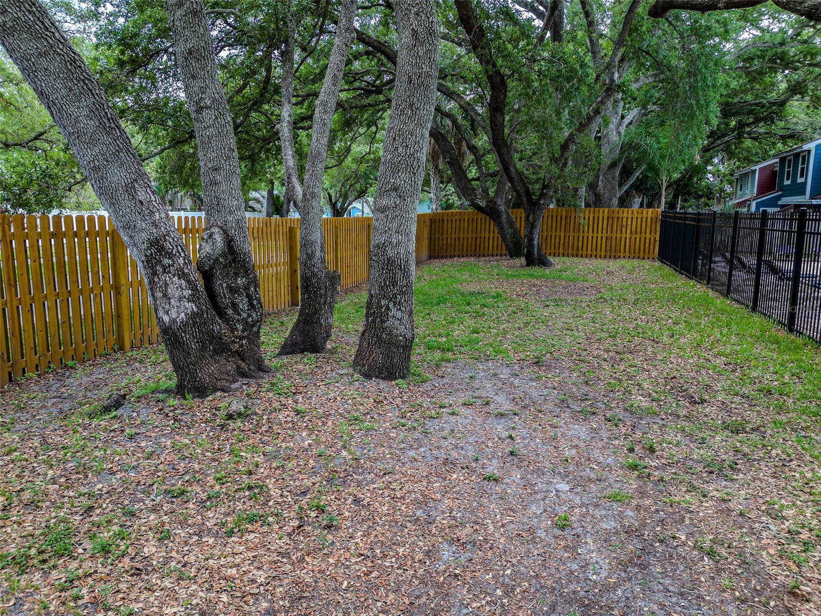 890 Jackson Court Palm Harbor FL 34683 TB8506497 image41