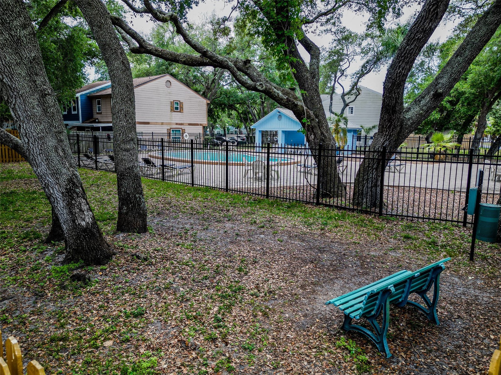 890 Jackson Court Palm Harbor FL 34683 TB8506497 image42