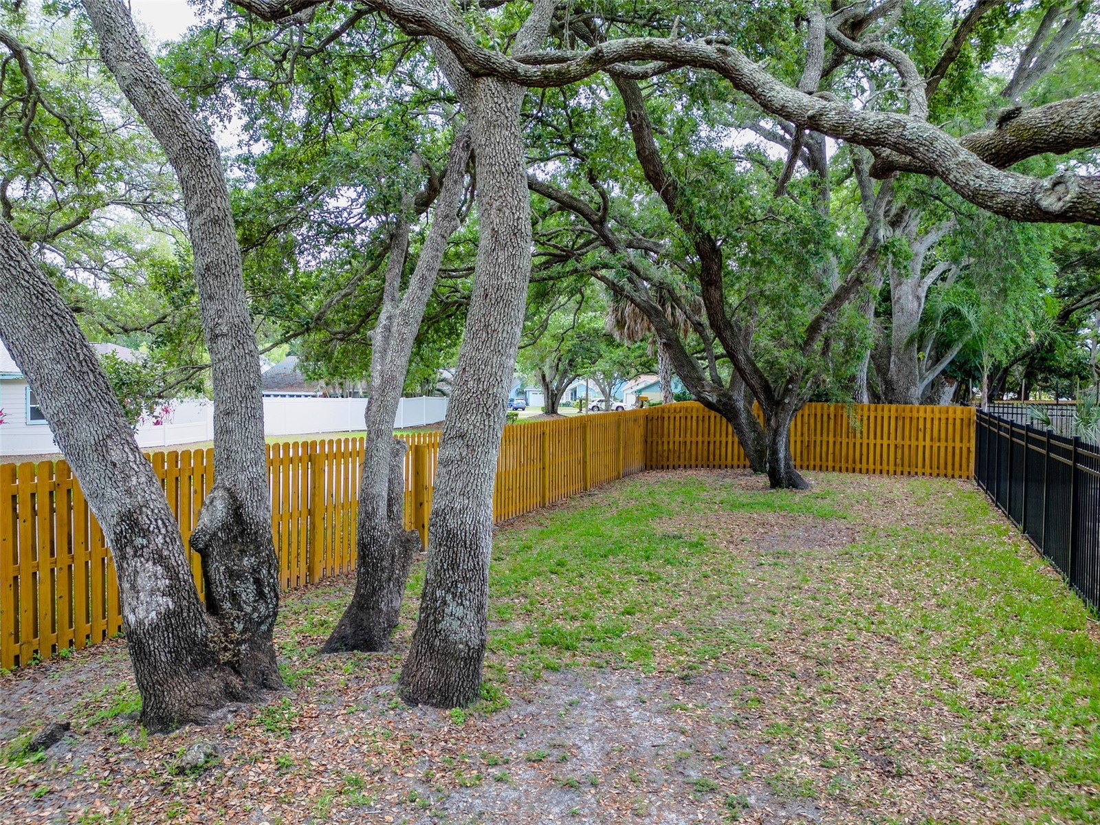 890 Jackson Court Palm Harbor FL 34683 TB8506497 image43