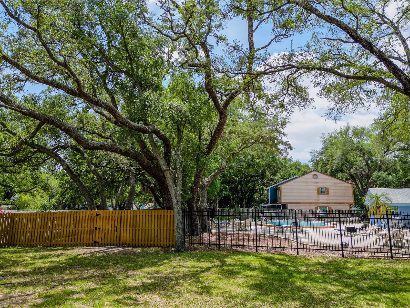890 Jackson Court Palm Harbor FL 34683 TB8506497 image44