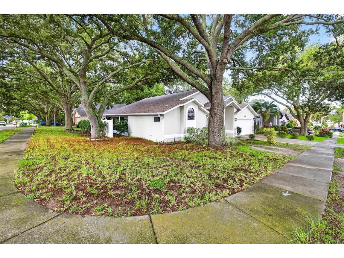 890 Kriswell Court Palm Harbor FL 34683 TB8422477 image1