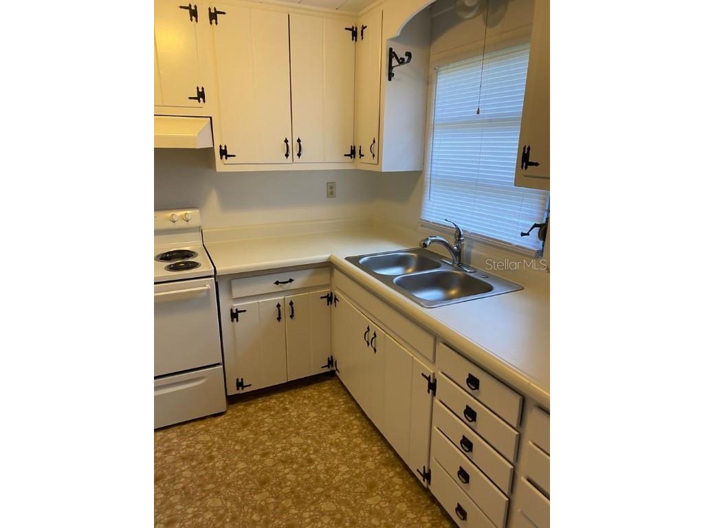 890 Vincent Drive Mount Dora FL 32757 O6361774 image2