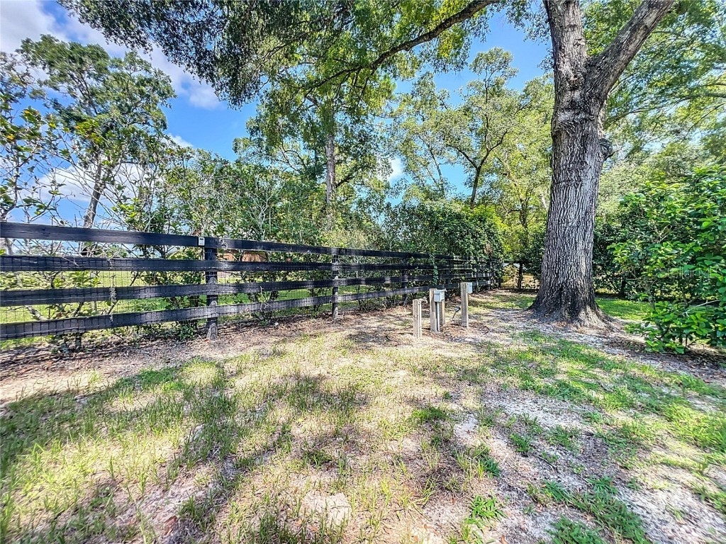 8901 NW 137th Avenue Morriston FL 32668 OM706556 image51