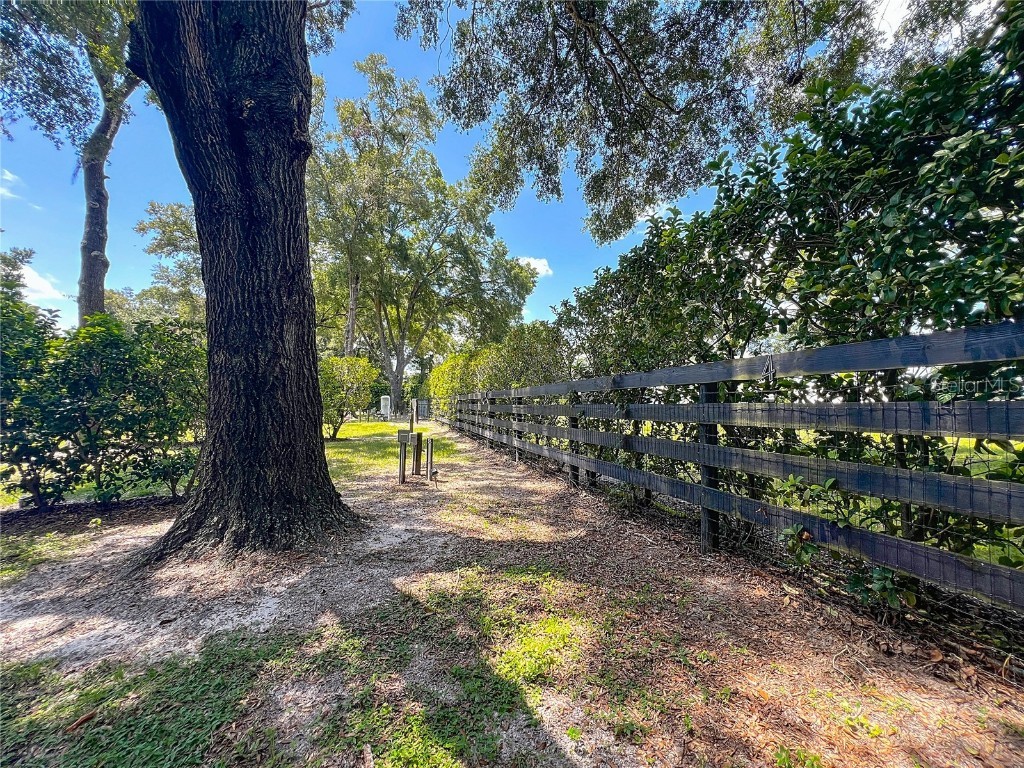 8901 NW 137th Avenue Morriston FL 32668 OM706556 image52