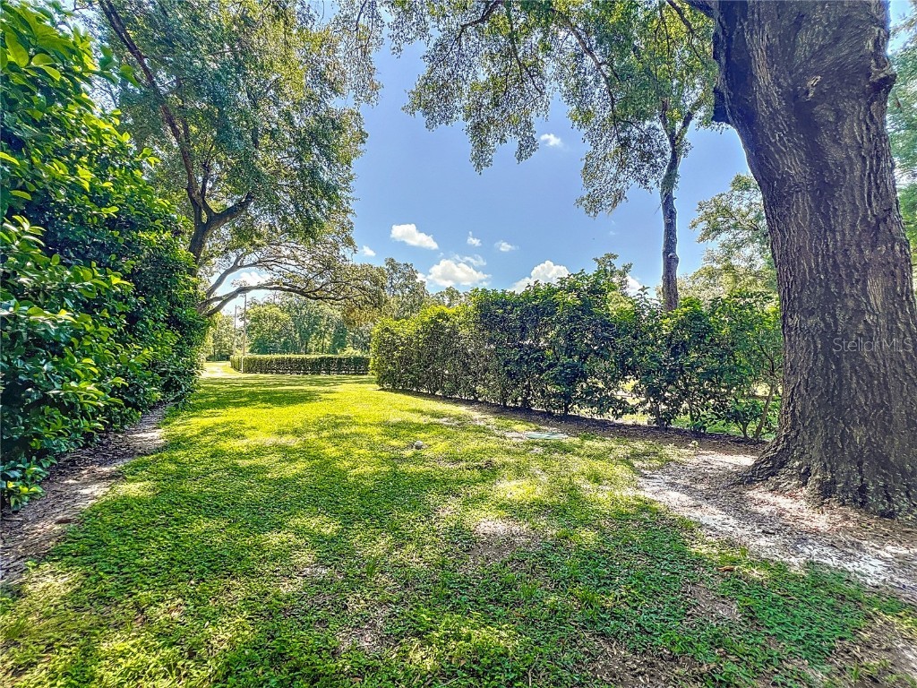 8901 NW 137th Avenue Morriston FL 32668 OM706556 image53