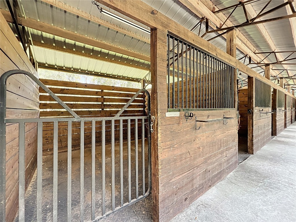 8901 NW 137th Avenue Morriston FL 32668 OM706556 image57