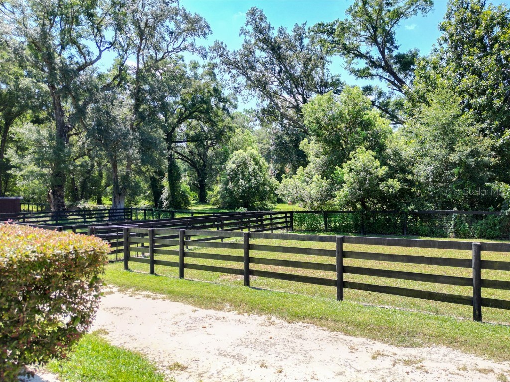 8901 NW 137th Avenue Morriston FL 32668 OM706556 image81