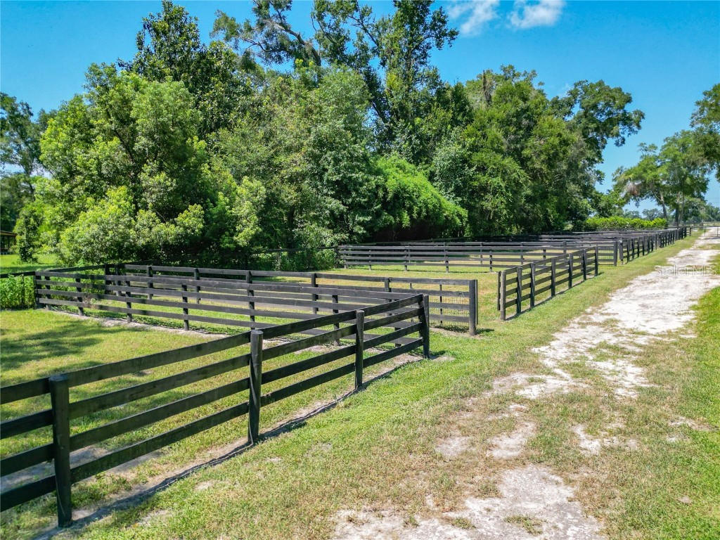 8901 NW 137th Avenue Morriston FL 32668 OM706556 image83