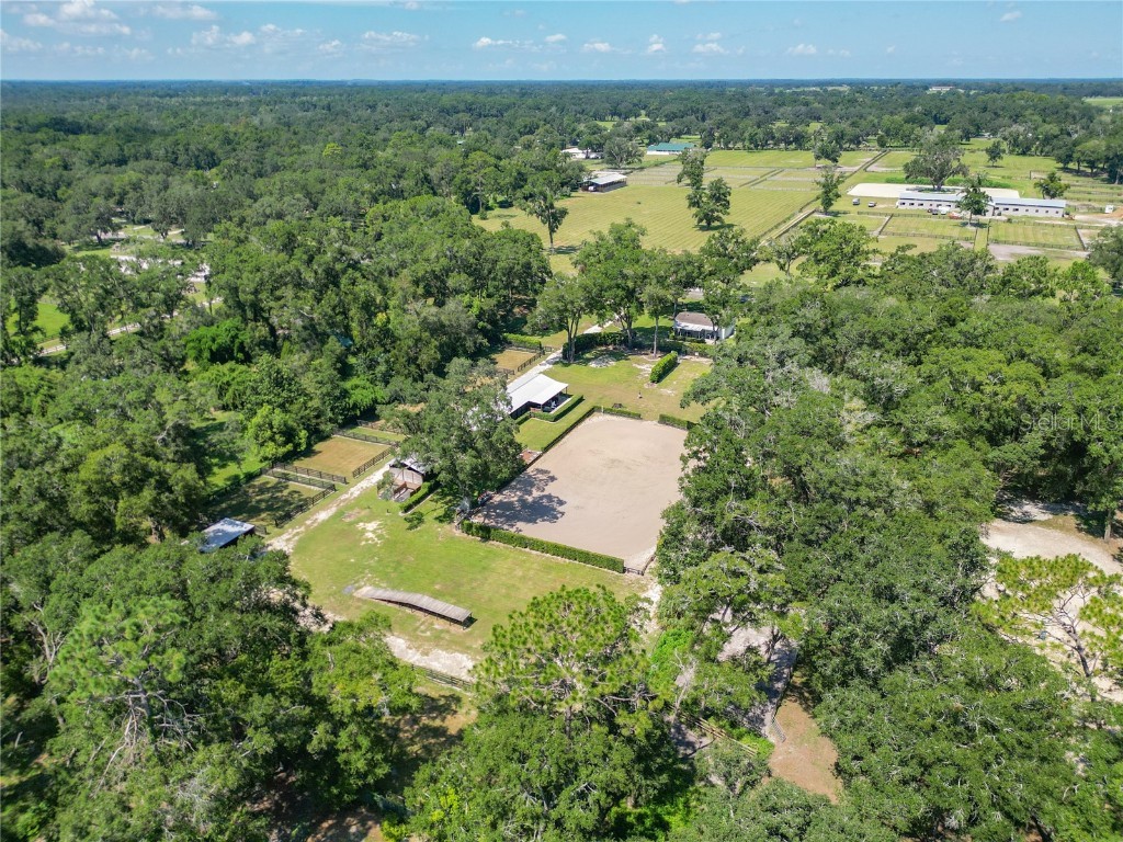 8901 NW 137th Avenue Morriston FL 32668 OM706556 image85