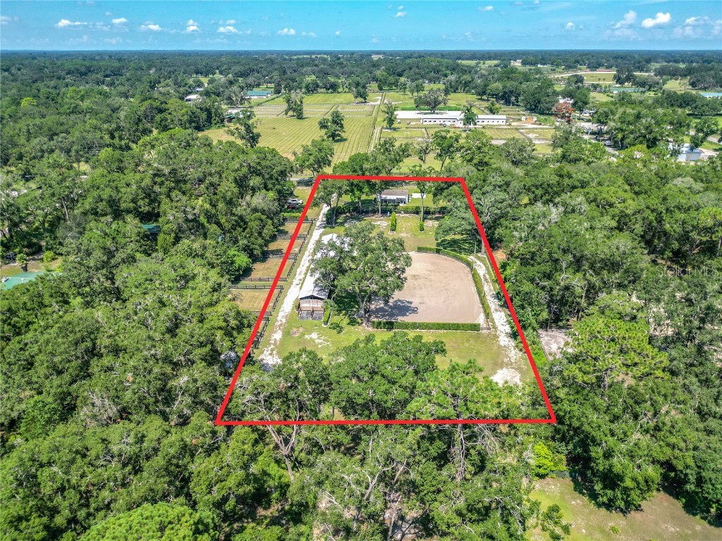 8901 NW 137th Avenue Morriston FL 32668 OM706556 image86