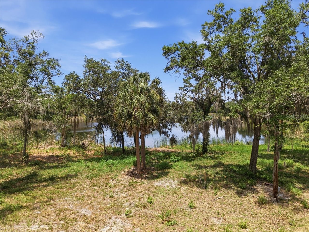 8901 S Mobley Road Tampa FL 33626 TB8506627 image22
