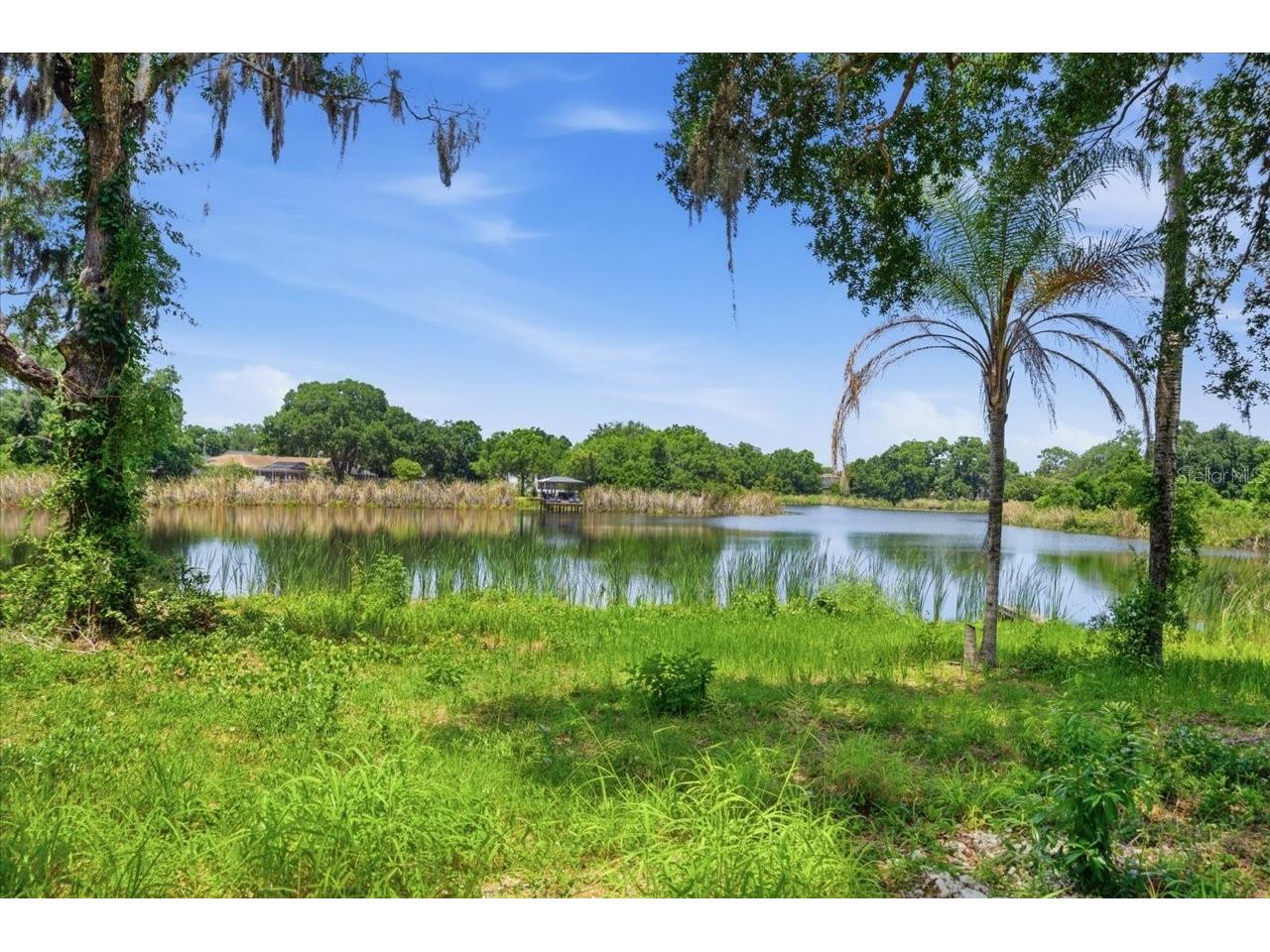 8901 S Mobley Road Tampa FL 33626 TB8506627 image24