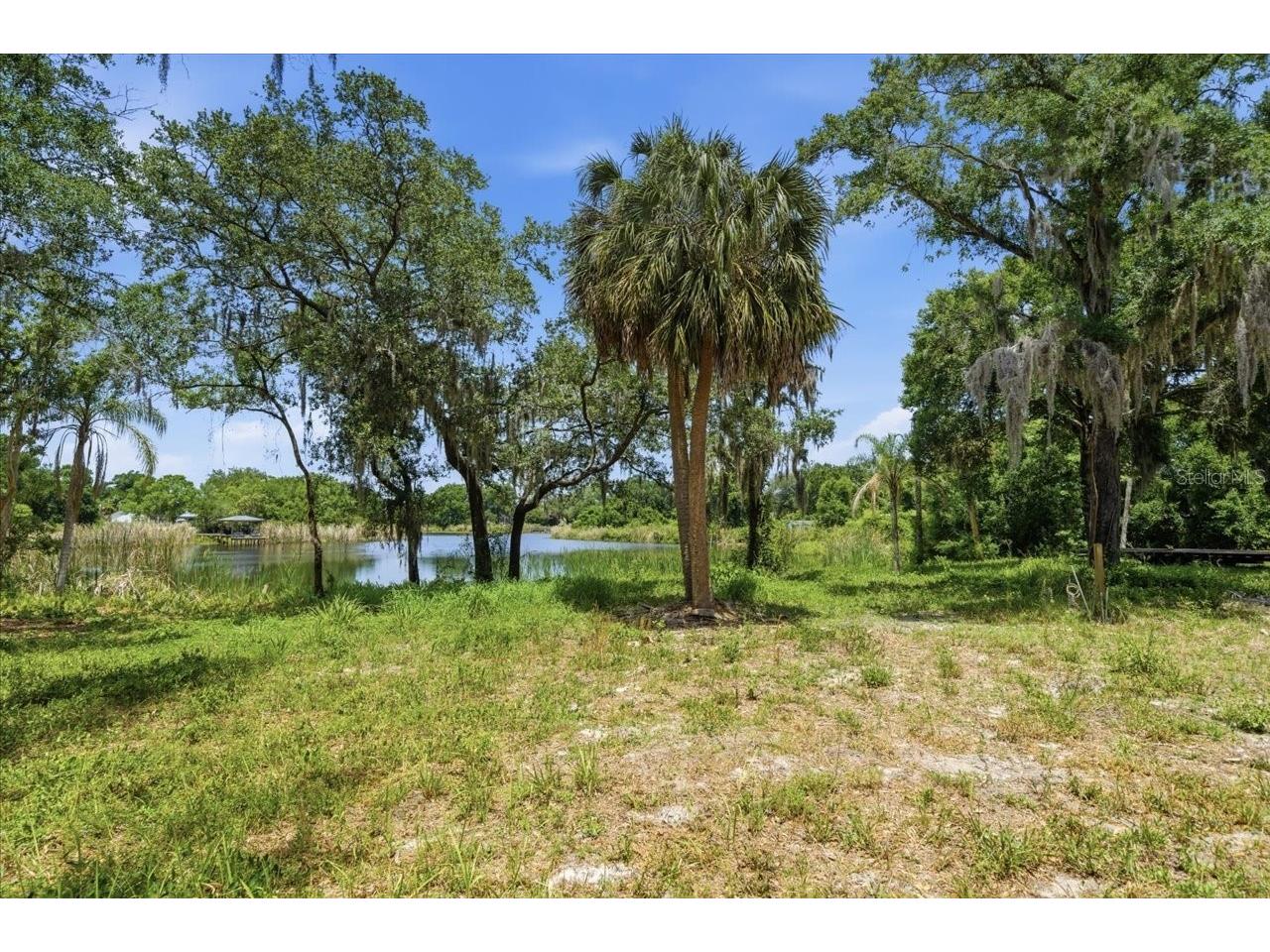 8901 S Mobley Road Tampa FL 33626 TB8506627 image27