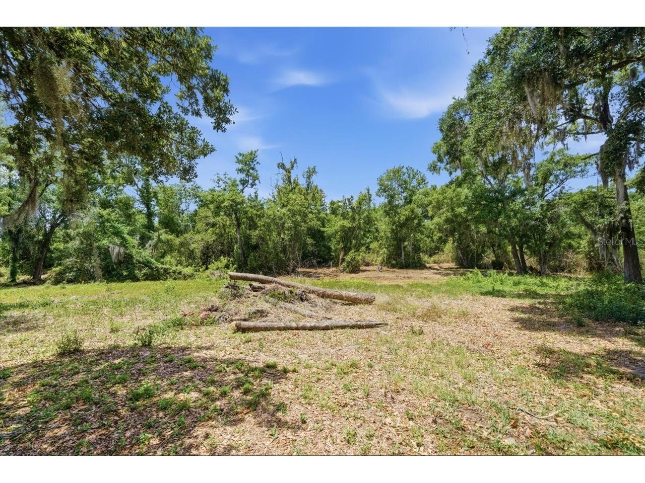 8901 S Mobley Road Tampa FL 33626 TB8506627 image28