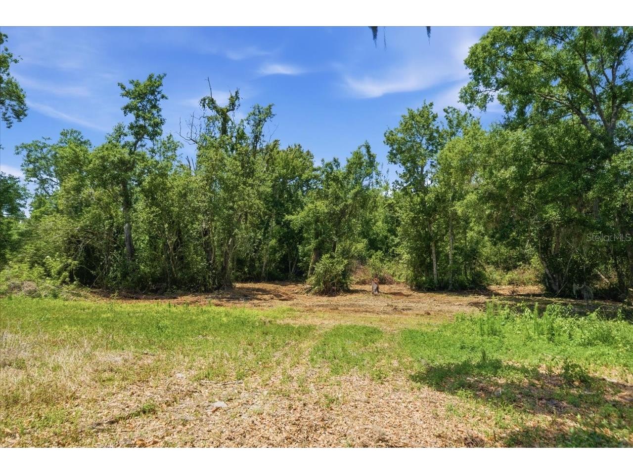 8901 S Mobley Road Tampa FL 33626 TB8506627 image30