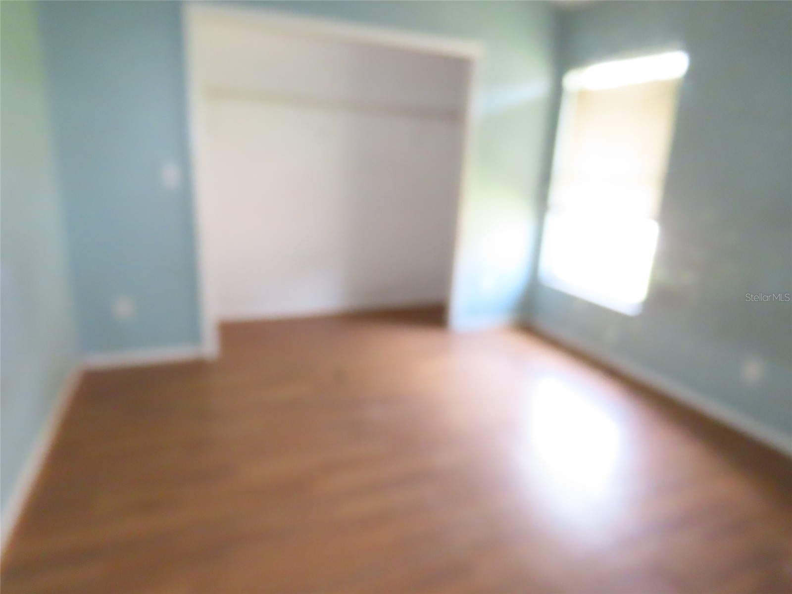 8902 Breland Drive Tampa FL 33626 TB8498802 image18