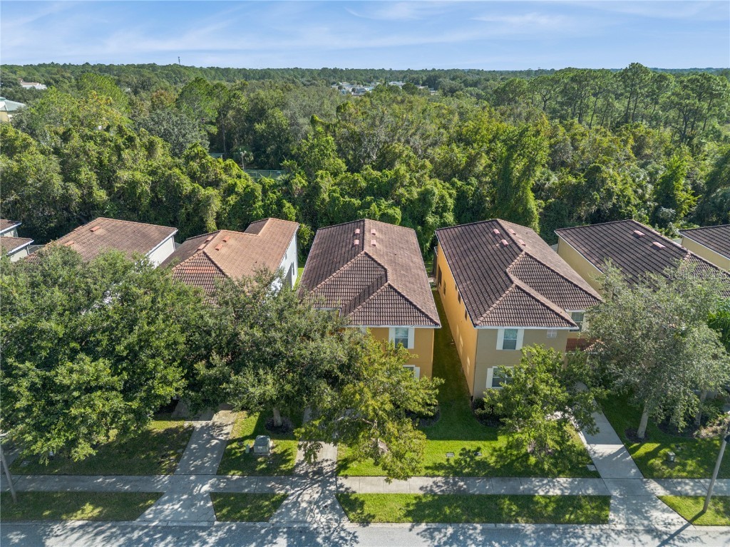 8902 Candy Palm Road Kissimmee FL 34747 O6357524 image3