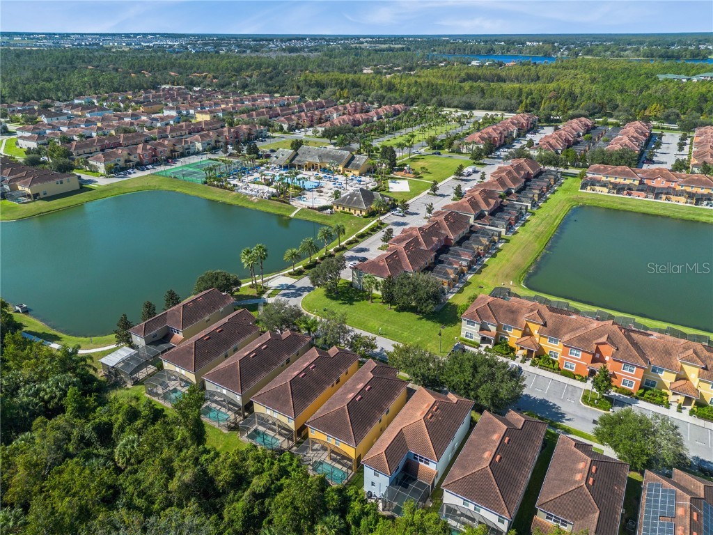 8902 Candy Palm Road Kissimmee FL 34747 O6357524 image50