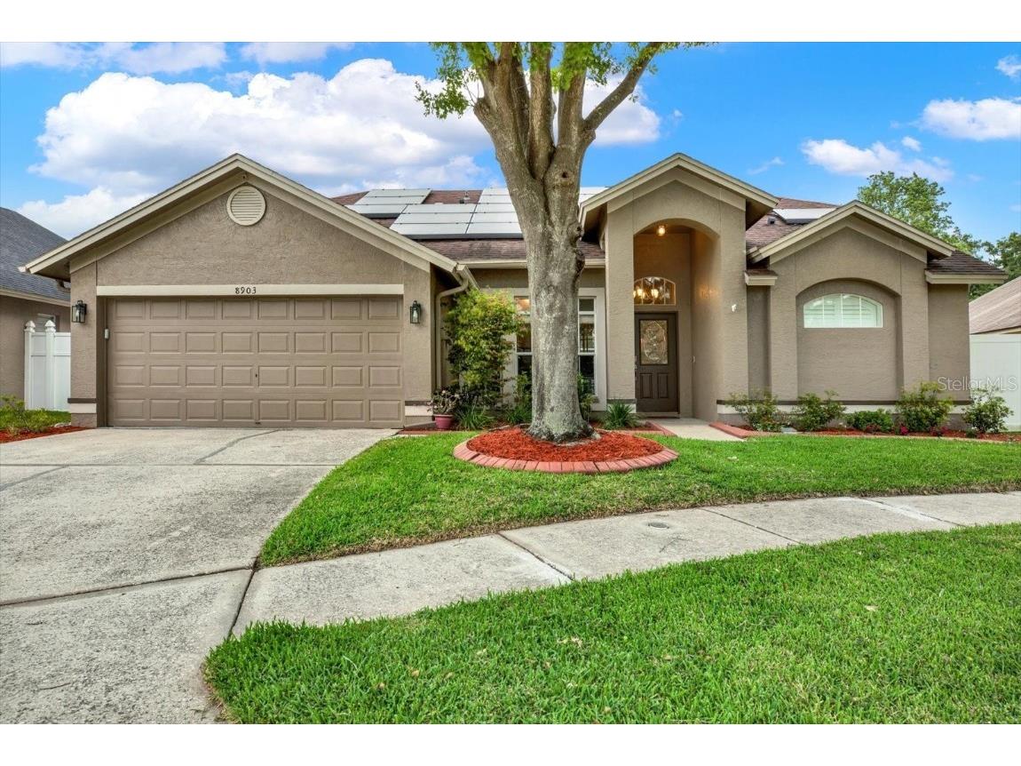 8903 Hannigan Court Tampa FL 33626 T3515648 image1