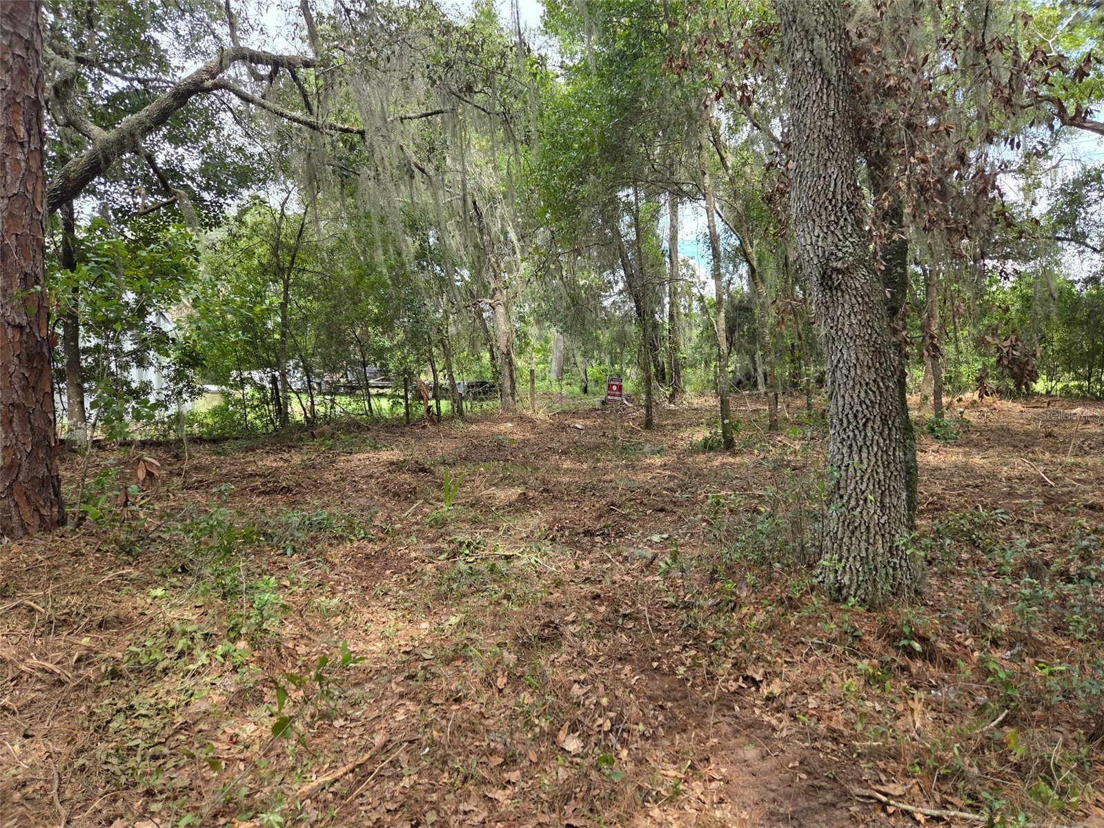 8903 SE 225th Drive Hawthorne FL 32640 GC529258 image10