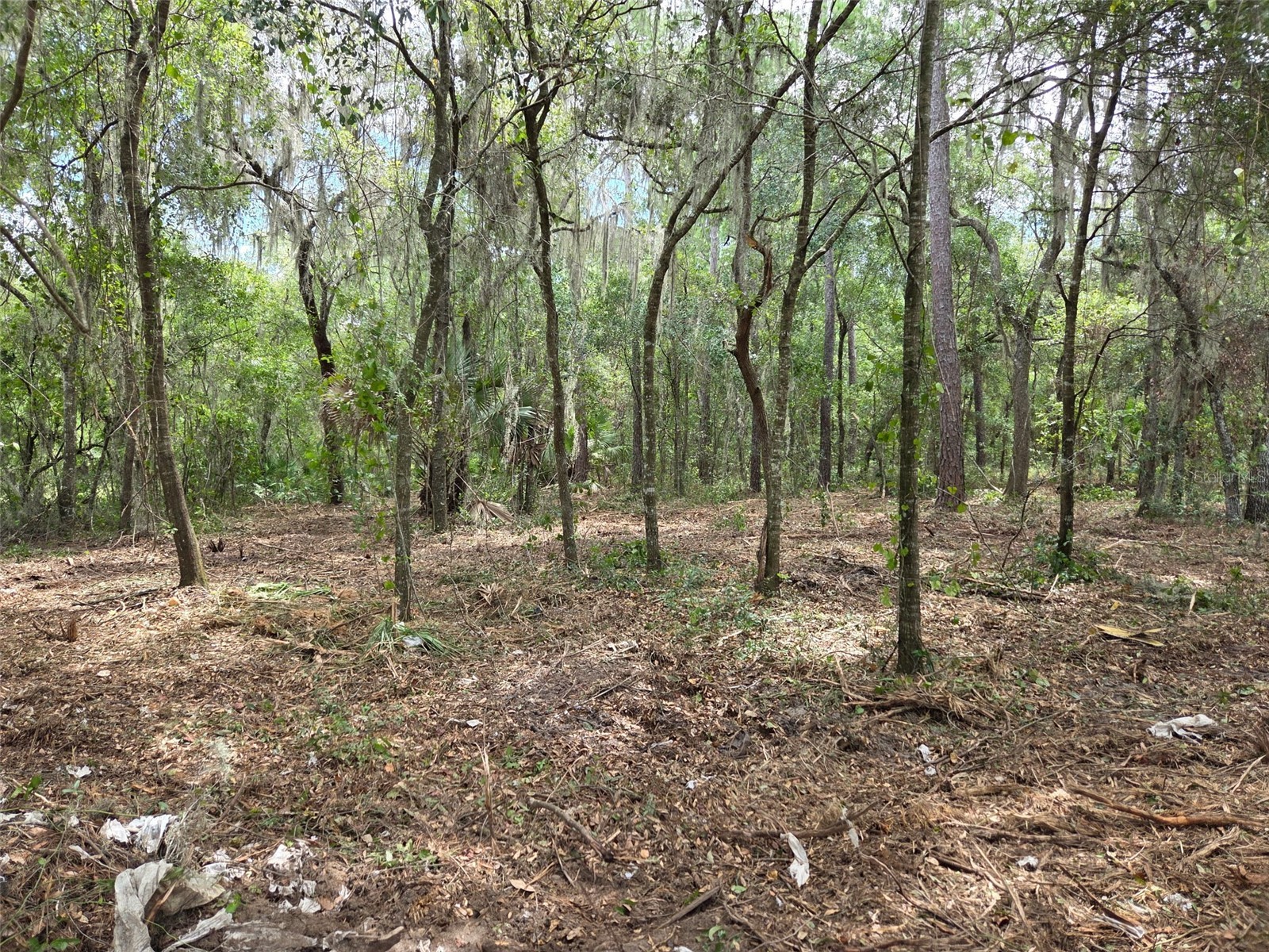 8903 SE 225th Drive Hawthorne FL 32640 GC529258 image11