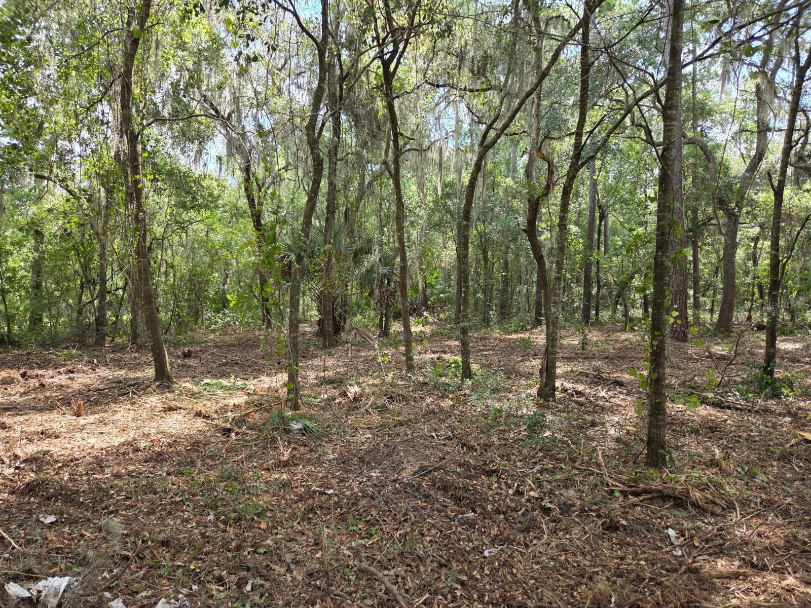 8903 SE 225th Drive Hawthorne FL 32640 GC529258 image12