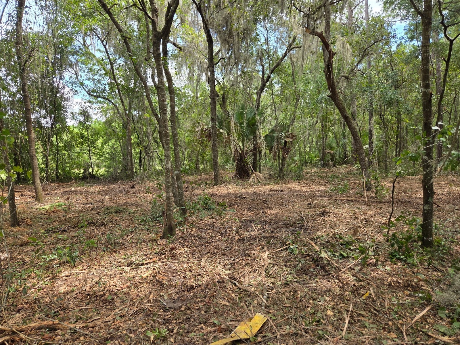 8903 SE 225th Drive Hawthorne FL 32640 GC529258 image13