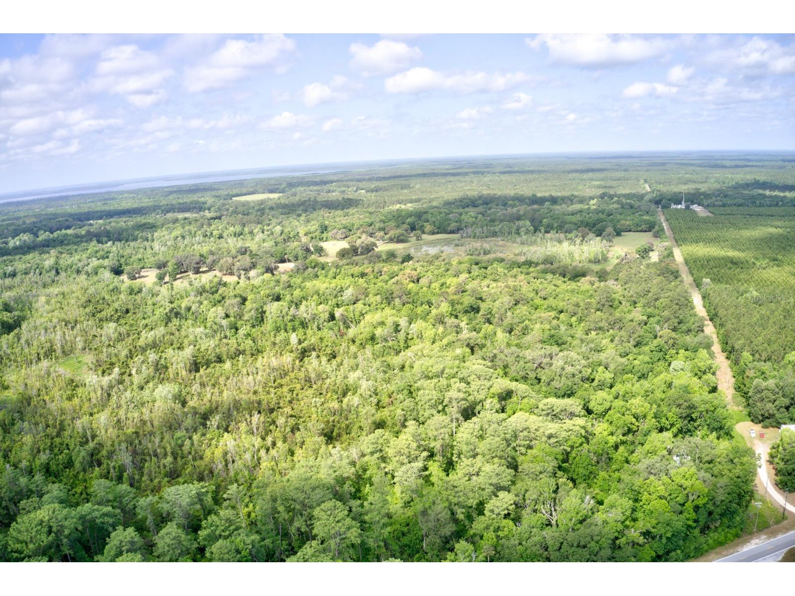 8903 SE 225th Drive Hawthorne FL 32640 GC529258 image6