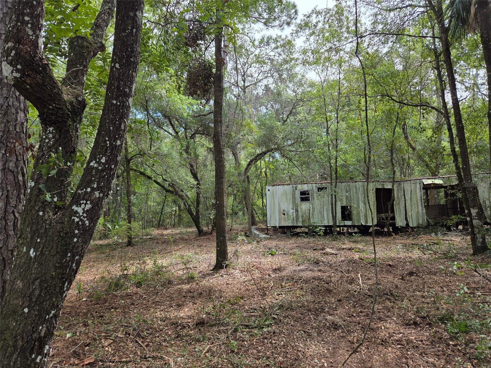 8903 SE 225th Drive Hawthorne FL 32640 GC529258 image8