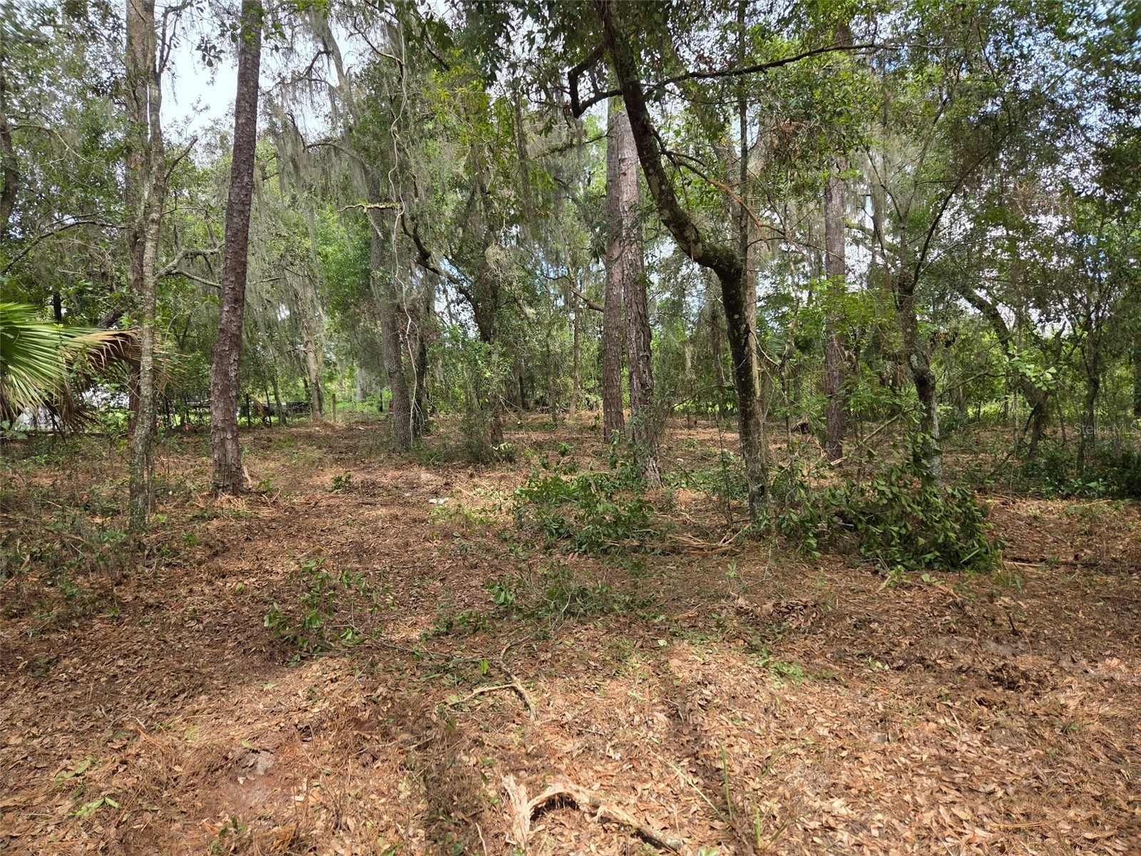 8903 SE 225th Drive Hawthorne FL 32640 GC529258 image9