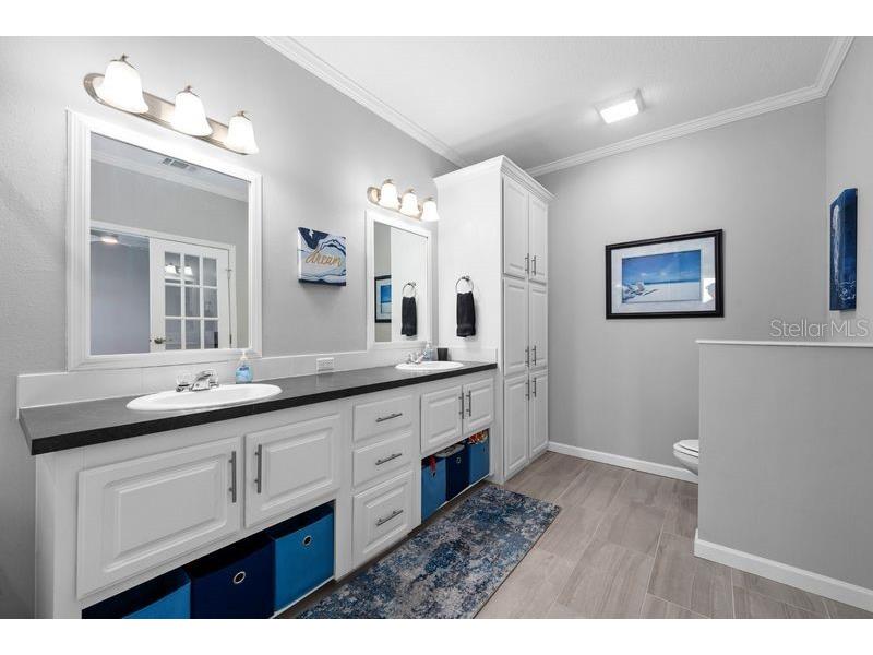 8903 Sheldon West Drive Tampa FL 33626 TB8518870 image15