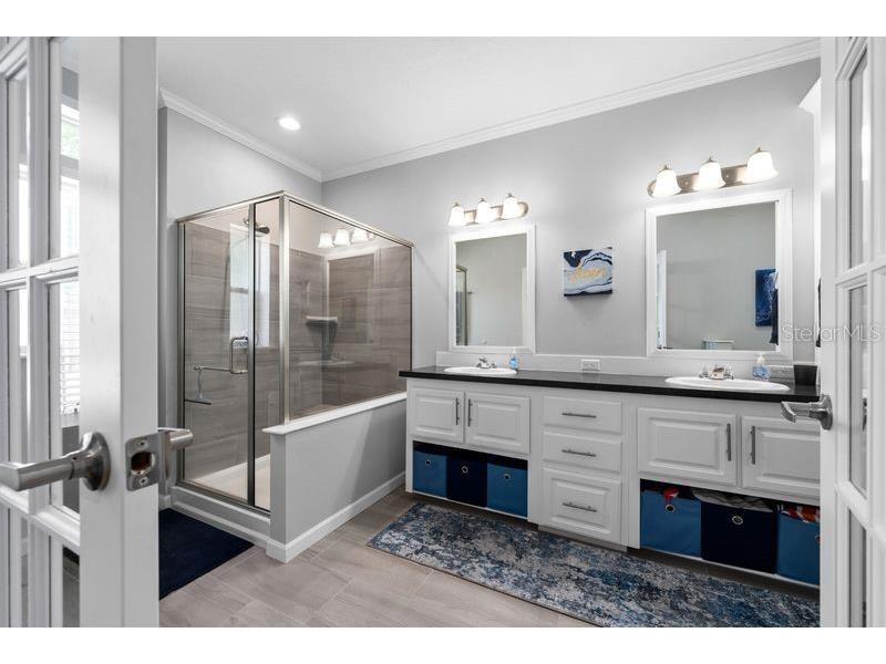 8903 Sheldon West Drive Tampa FL 33626 TB8518870 image16