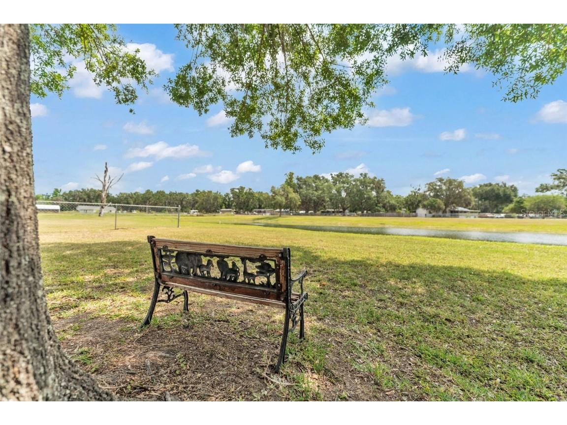8904 Carrolwood Drive Lakeland FL 33810 L4952809 image53