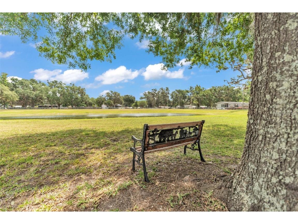 8904 Carrolwood Drive Lakeland FL 33810 L4952809 image54