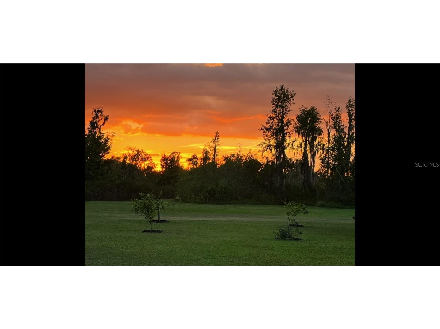 8904 Carrolwood Drive Lakeland FL 33810 L4952809 image56