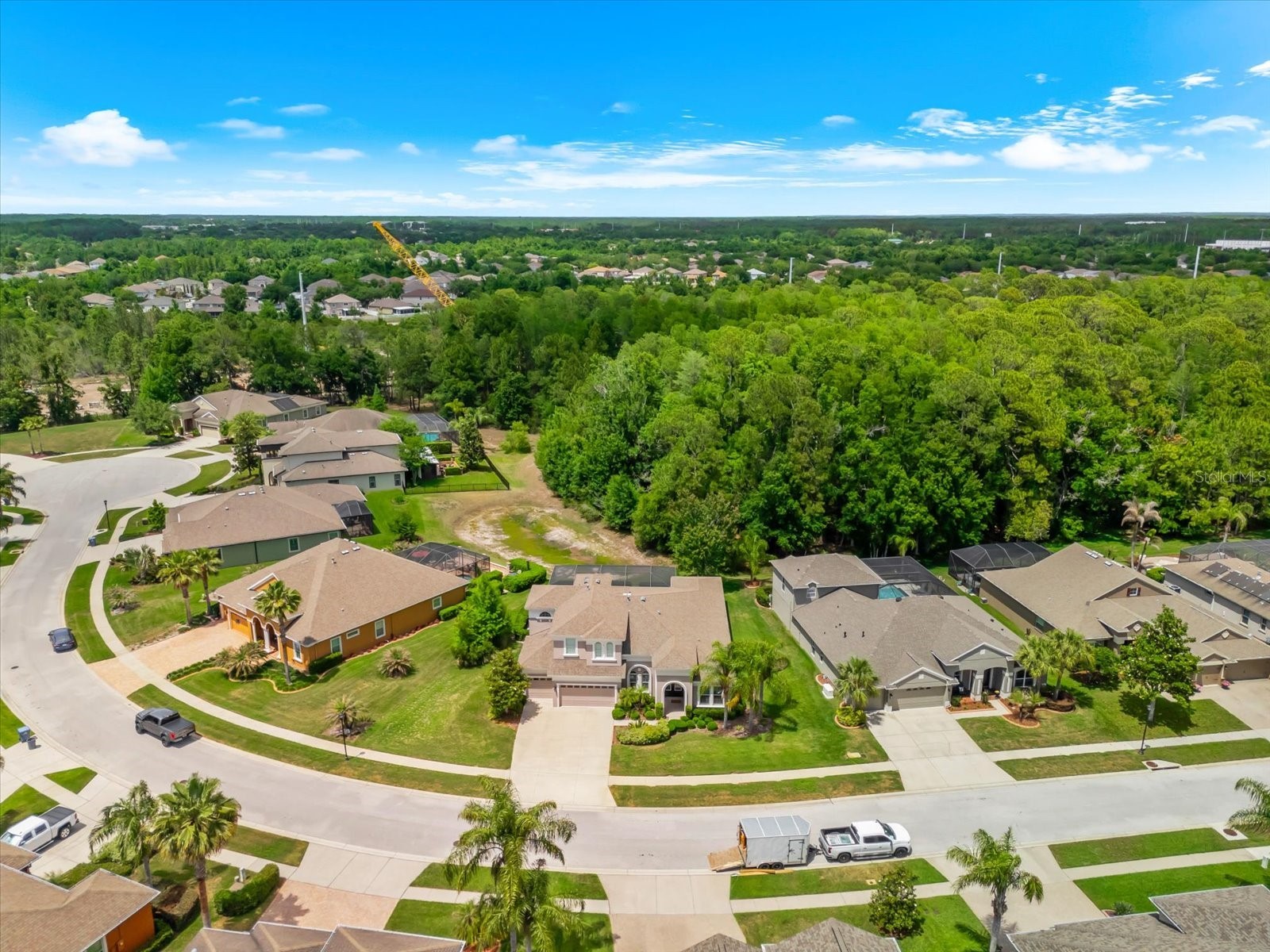 8904 Crystal Creek Court Land O Lakes FL 34638 TB8500177 image1