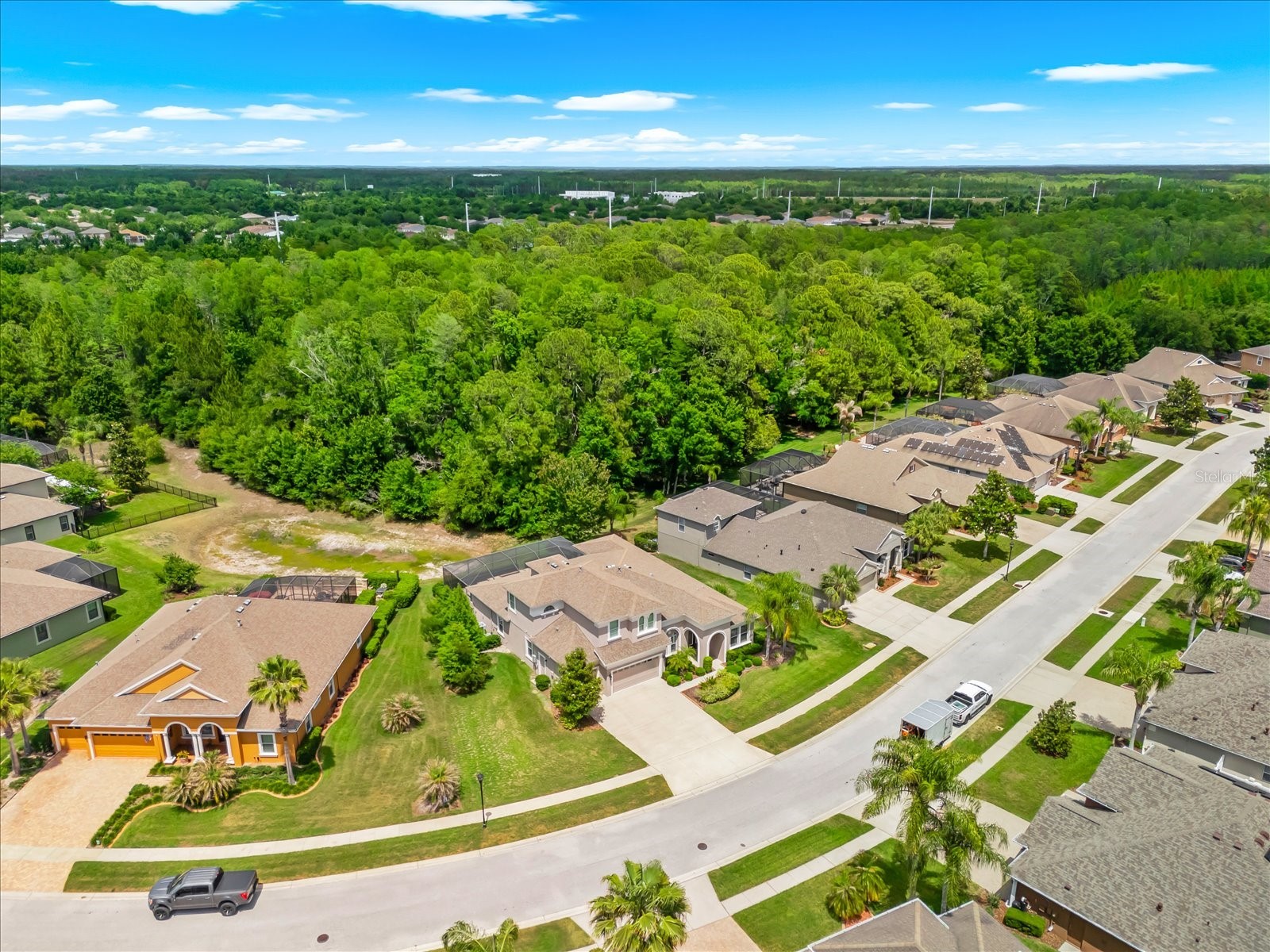 8904 Crystal Creek Court Land O Lakes FL 34638 TB8500177 image18