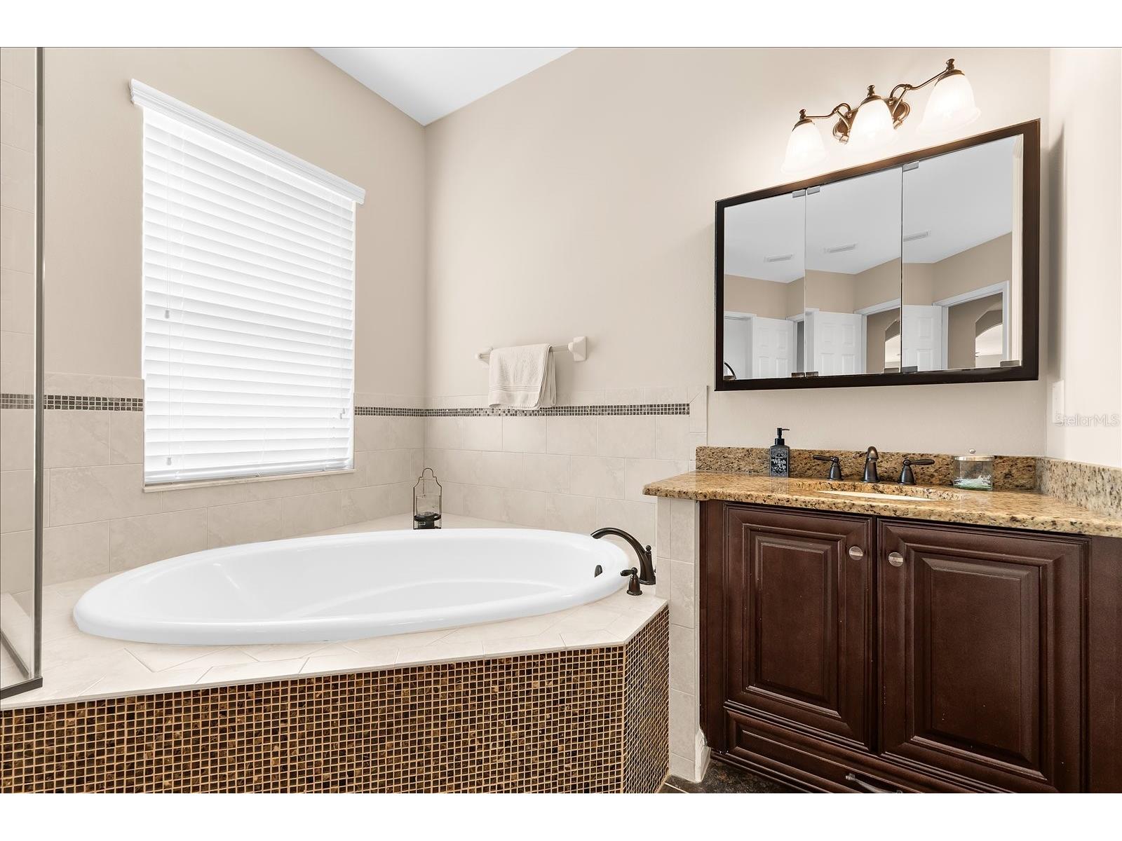 8904 Crystal Creek Court Land O Lakes FL 34638 TB8500177 image37