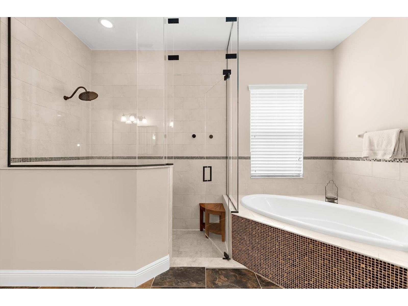 8904 Crystal Creek Court Land O Lakes FL 34638 TB8500177 image38