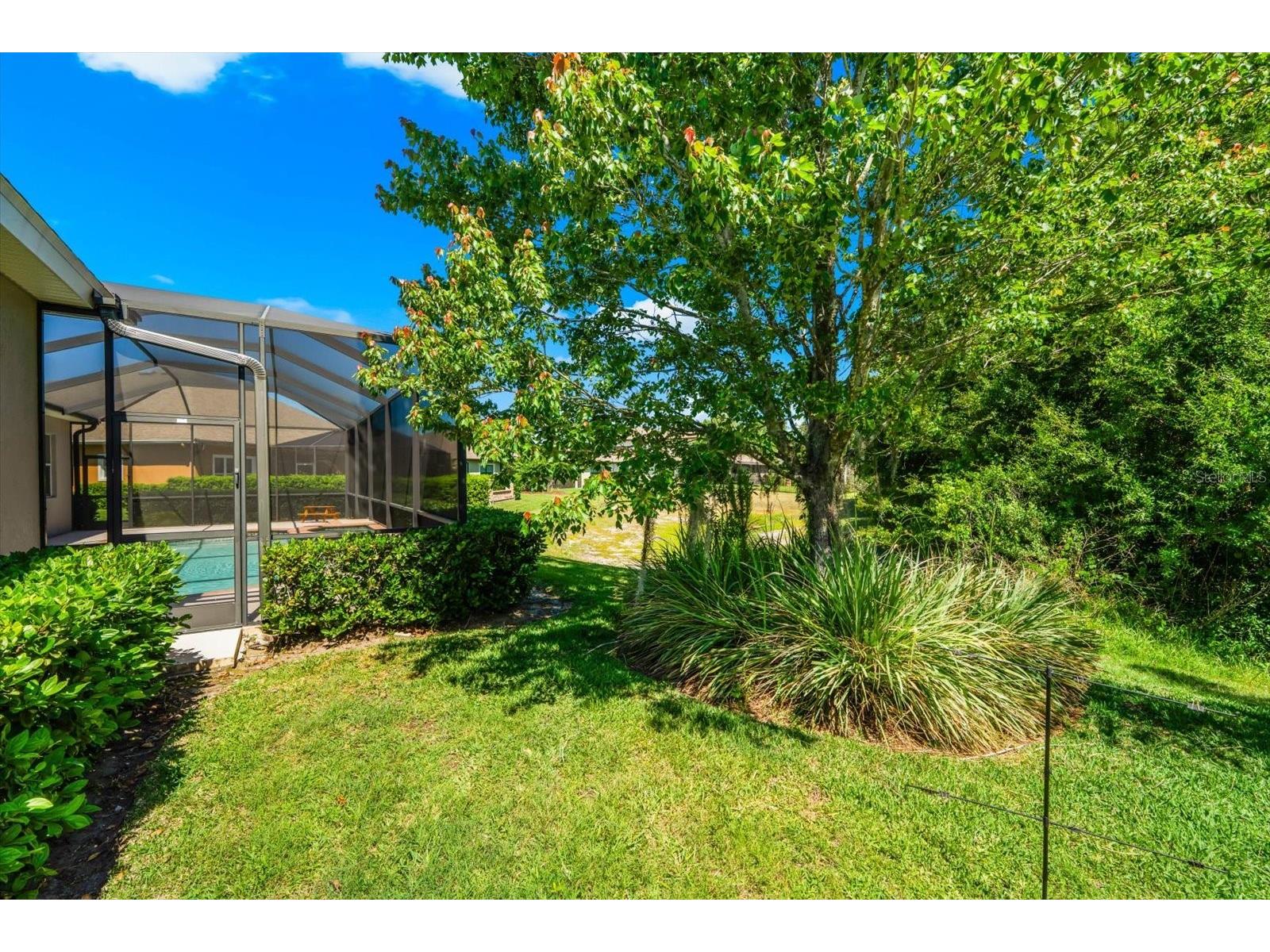 8904 Crystal Creek Court Land O Lakes FL 34638 TB8500177 image59