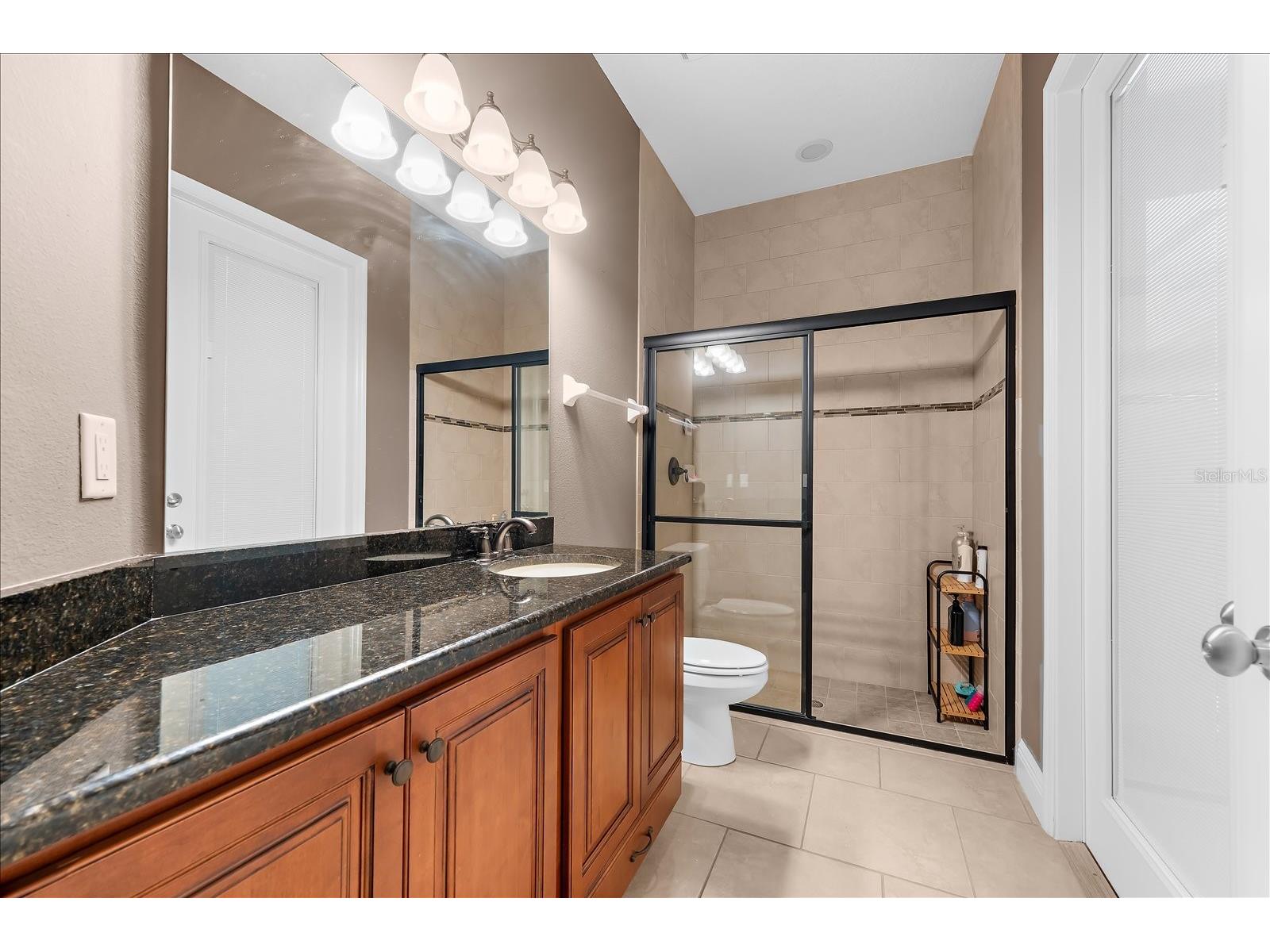 8904 Crystal Creek Court Land O Lakes FL 34638 TB8500177 image63