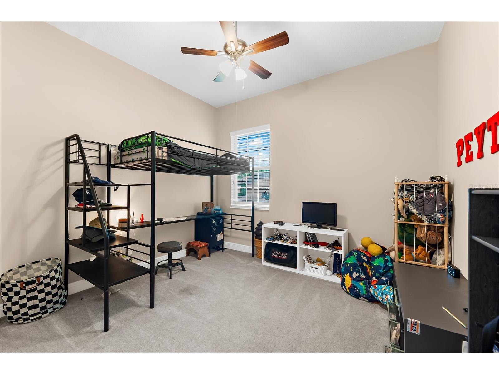 8904 Crystal Creek Court Land O Lakes FL 34638 TB8500177 image65