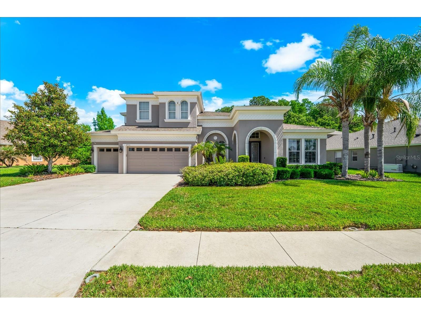 8904 Crystal Creek Court Land O Lakes FL 34638 TB8500177 image78