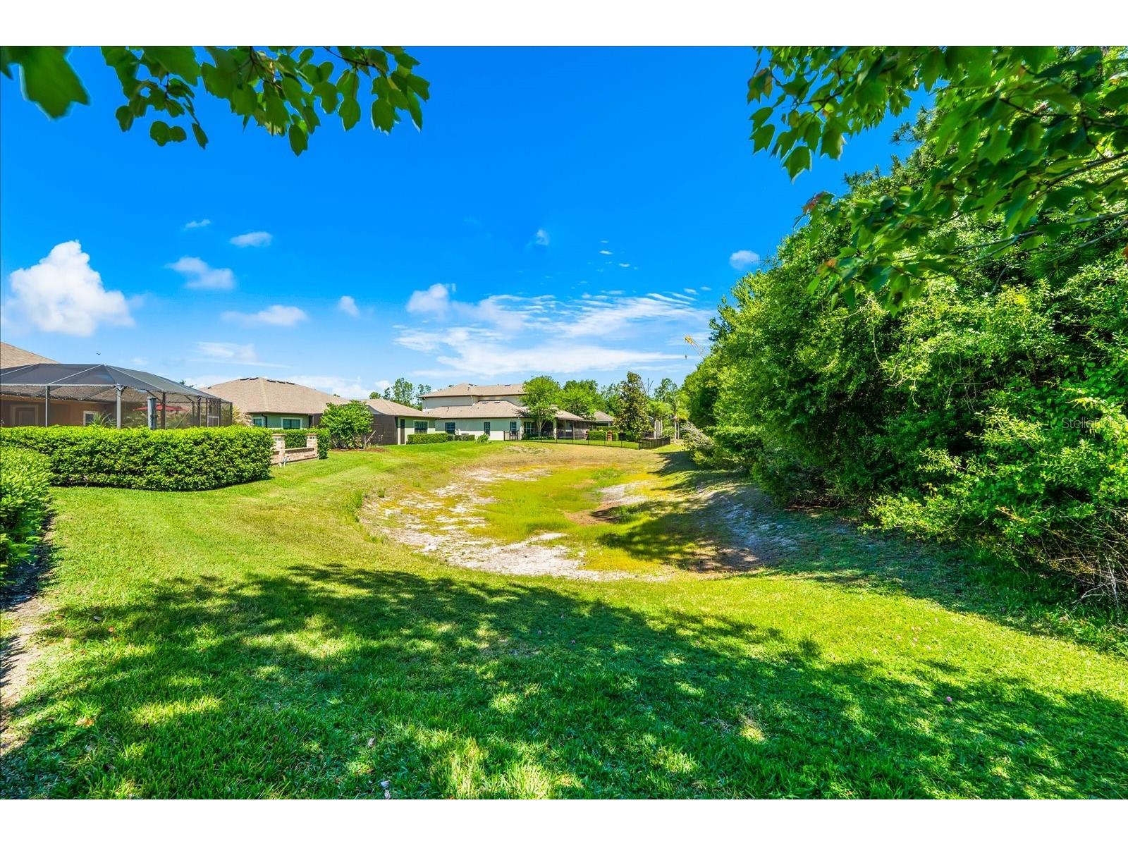 8904 Crystal Creek Court Land O Lakes FL 34638 TB8500177 image79
