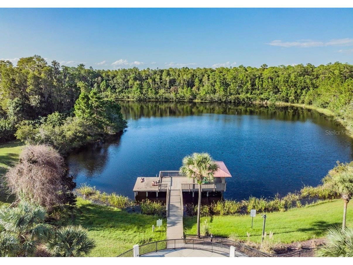 8904 Crystal Creek Court Land O Lakes FL 34638 TB8500177 image87