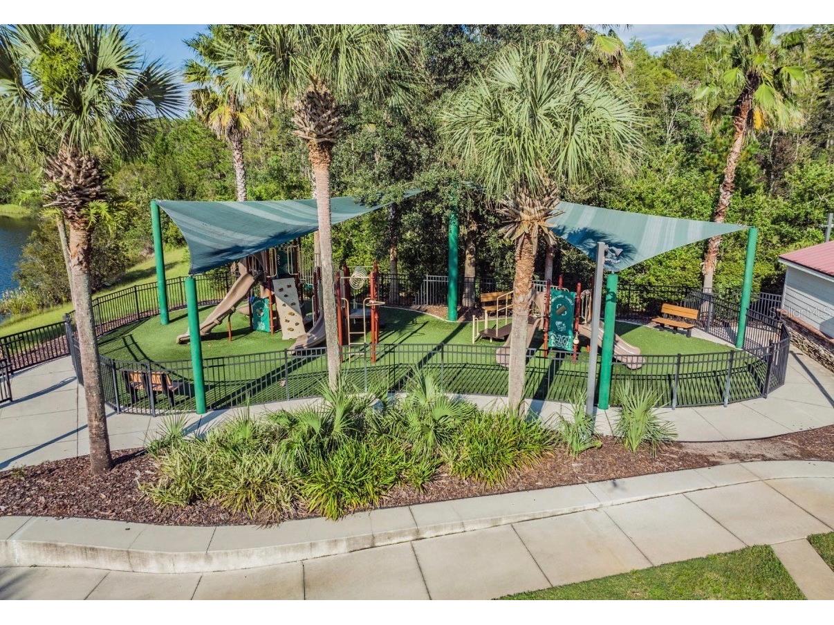 8904 Crystal Creek Court Land O Lakes FL 34638 TB8500177 image88